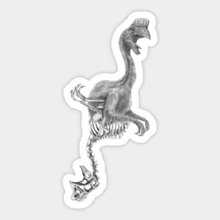 Oviraptor Sticker